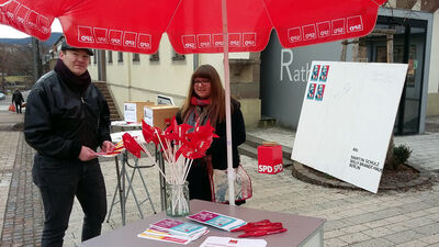 Manuel Schmoll aus Haigerloch und Lara Herter aus Albstadt werben für Martin Schulz